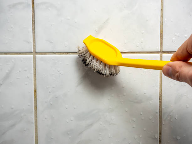 Best Industrial Mold Remediation in Annandale, NJ