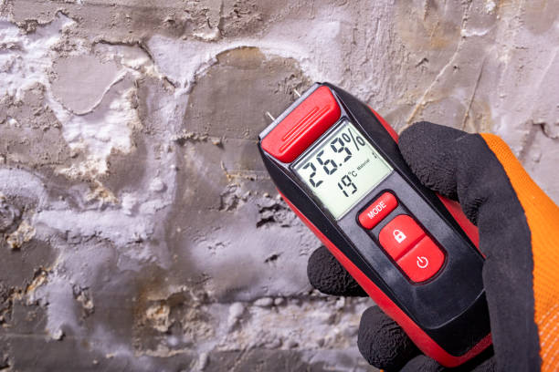 Best Commercial Mold Remediation in Annandale, NJ