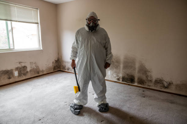 Best HVAC Mold Remediation in Annandale, NJ